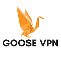 logo goose vpn