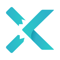 Logo X VPN